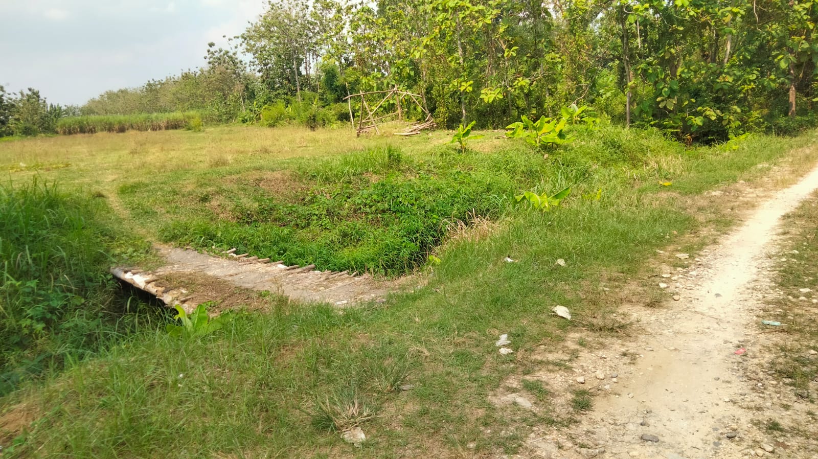 Lahan 4